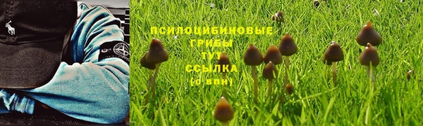 сатива Белоозёрский
