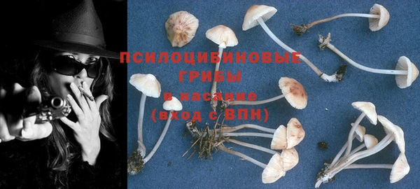 кокаин колумбия Белокуриха