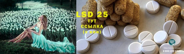 сатива Белоозёрский