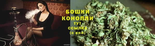сатива Белоозёрский